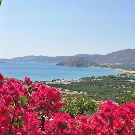 Castri Village